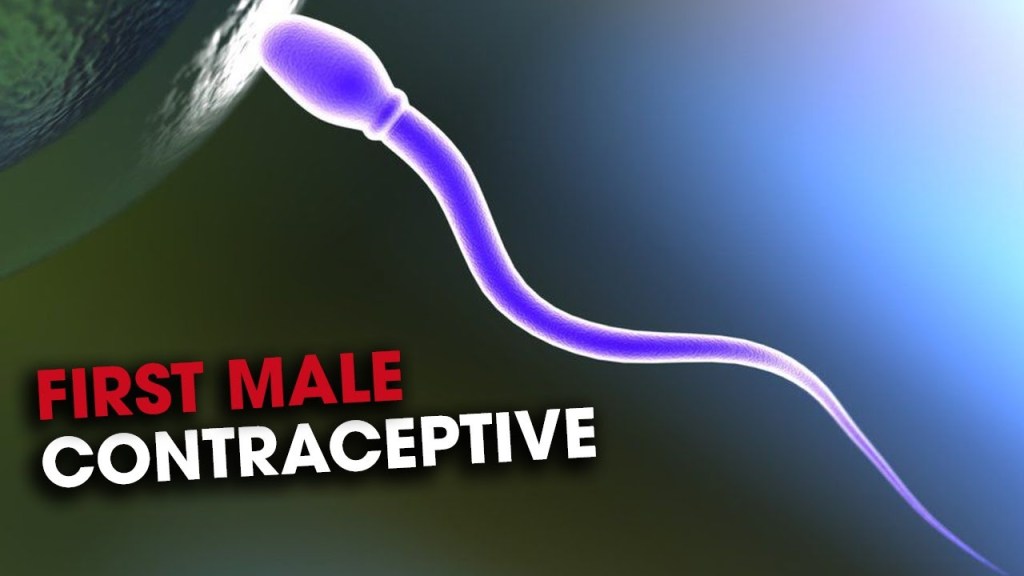 Why Men Should Use Birth&nbsp;Control