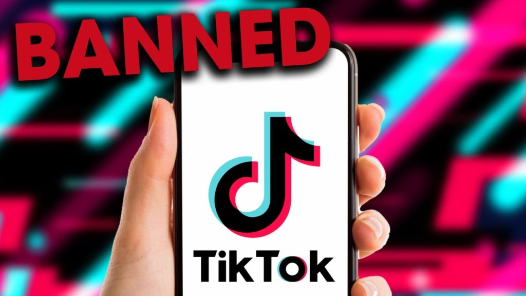 Do This Before TikTok is BANNED in the&nbsp;US!